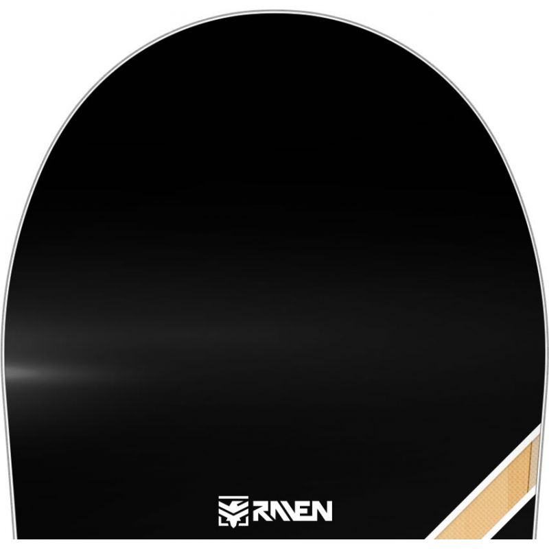 Pulse Camrock RAVEN snowboard