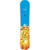 Squid 152 Santa Cruz Snowboard